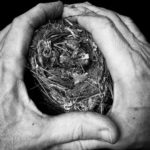 Body Parts Series: Hands with Nest by Teri Hannigan