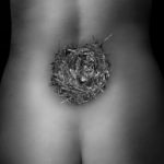 Body Parts Series: Sacrum With Nest photo by Teri Hannigan
