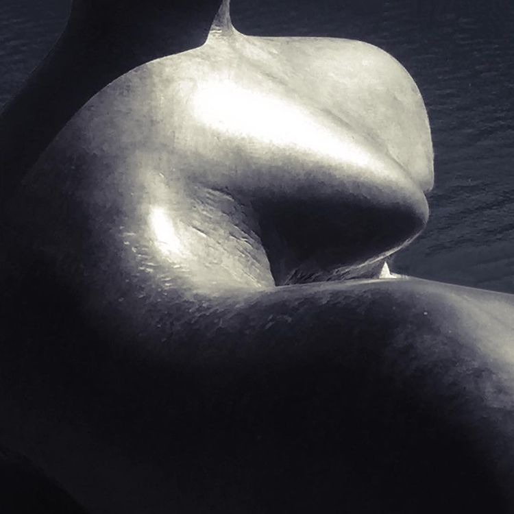 Sculptural Form Lake Lugano photo by Teri Hannigan